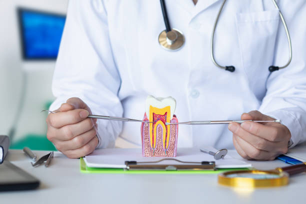 Best Emergency Wisdom Tooth Extraction in Horseshoe Bend, AR